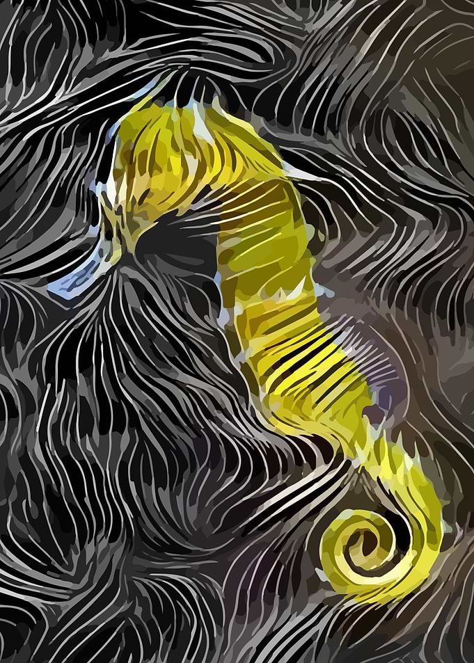 Seahorse
