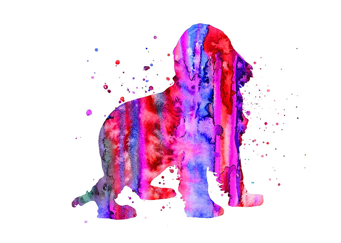 English Cocker Spaniel