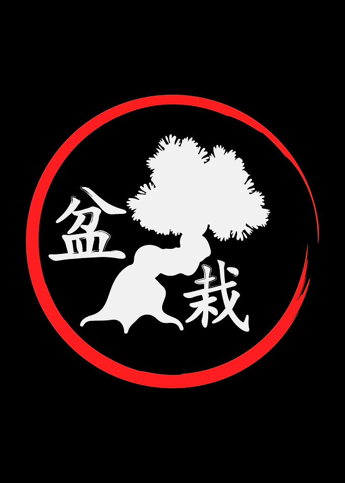 Bonsai Tree Japan Japanese