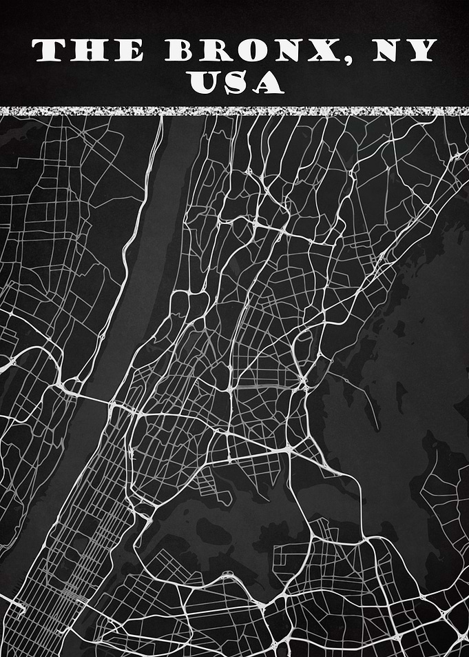 THE BRONX NY USA