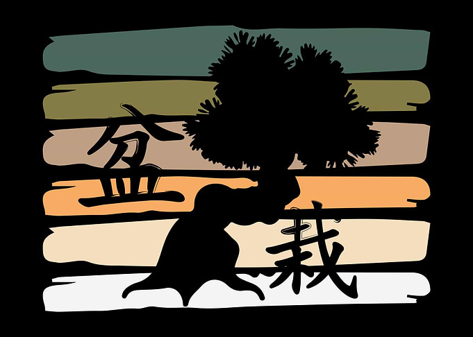 Bonsai Retro Vintage Japan
