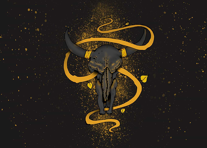 Cow Skull