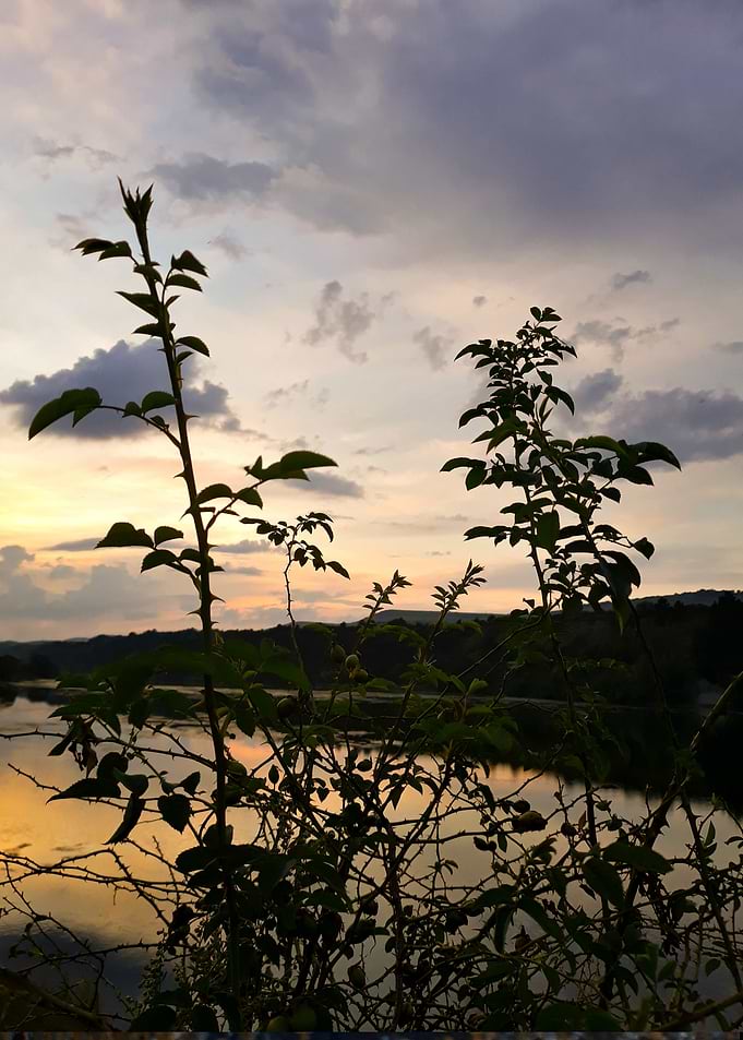 Sunset magic