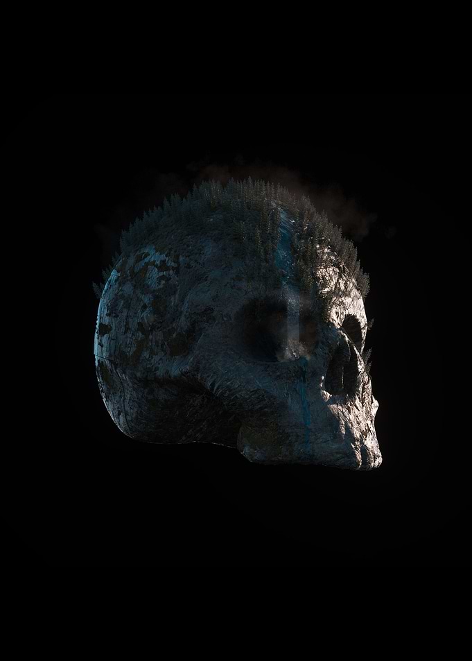 Skull Paradise