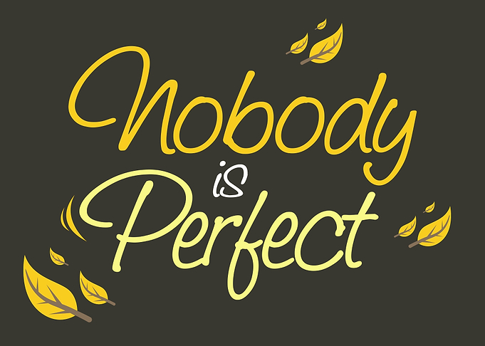 Nobody is Perfect Poster