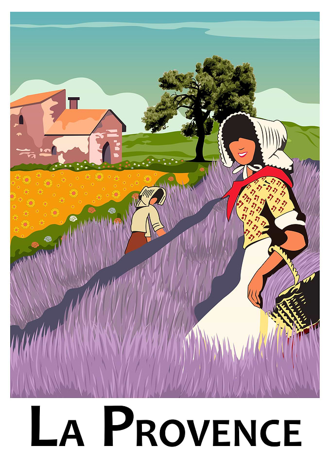 Lavender Field