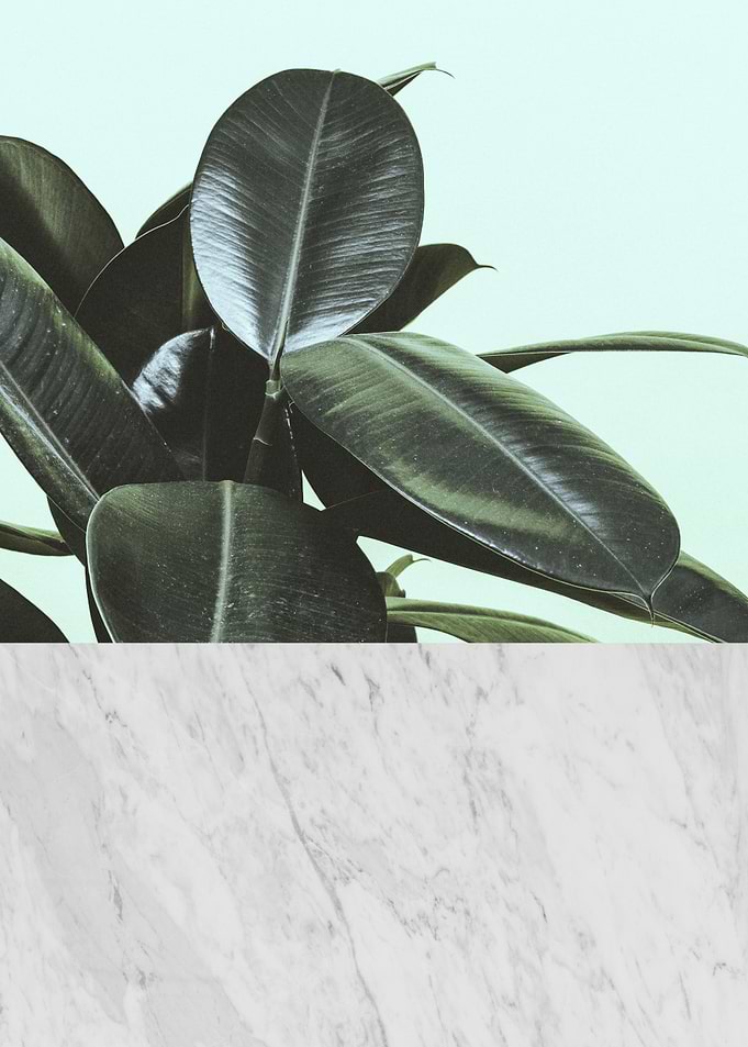 Botanical composition VIII