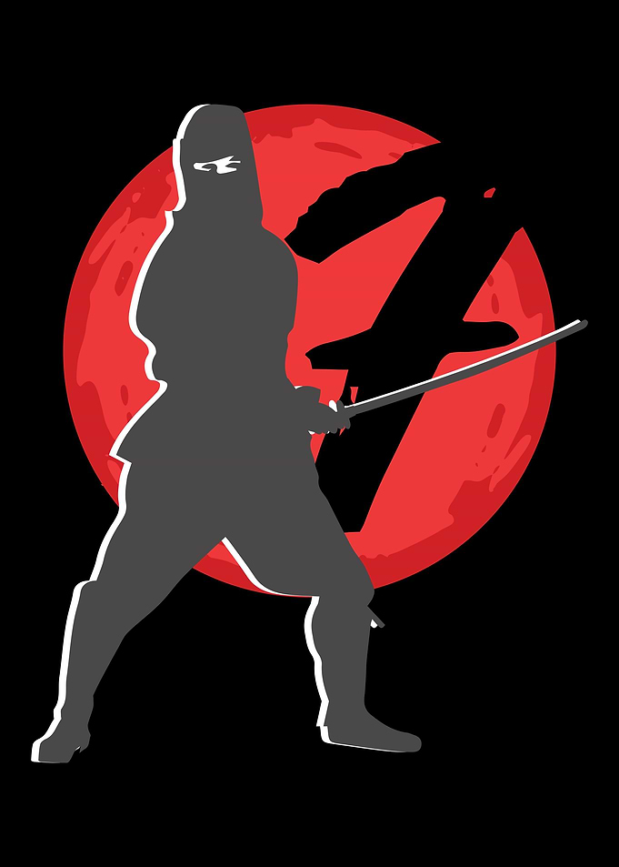 Cool Looking Ninja