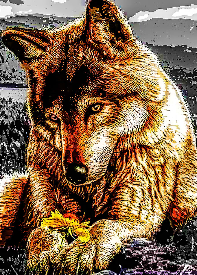 Animal 100