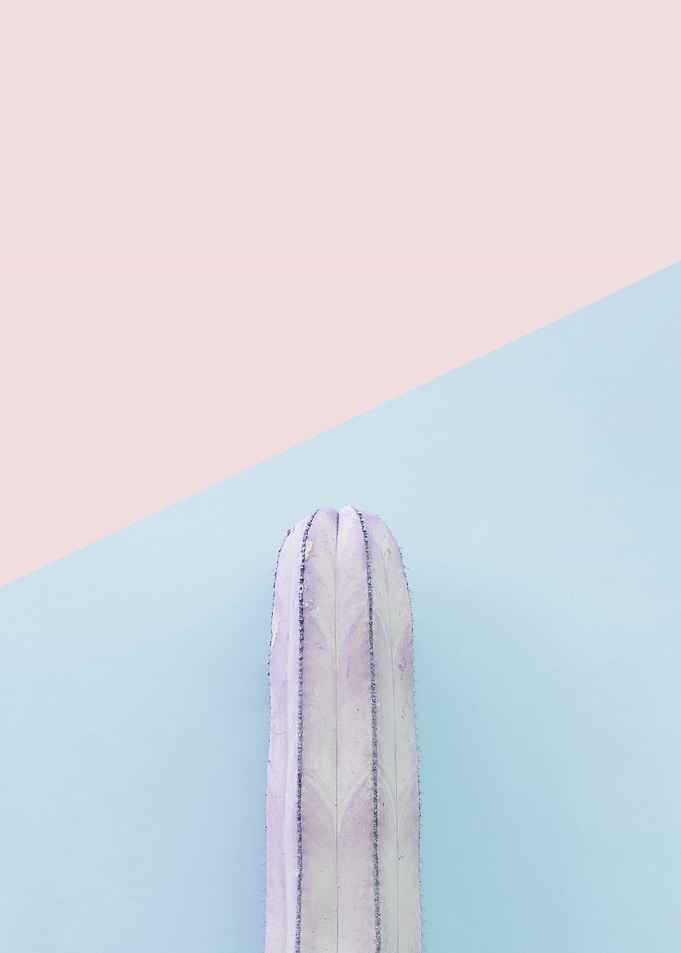 Botanical composition II
