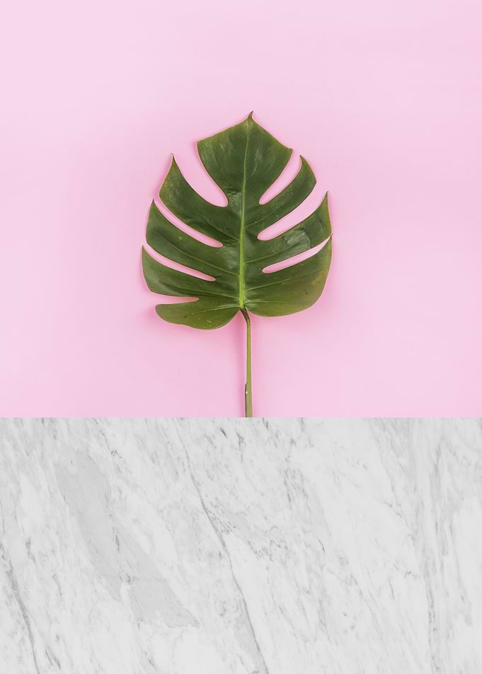 Botanical composition III