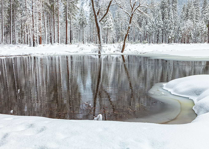 Mirror Pond