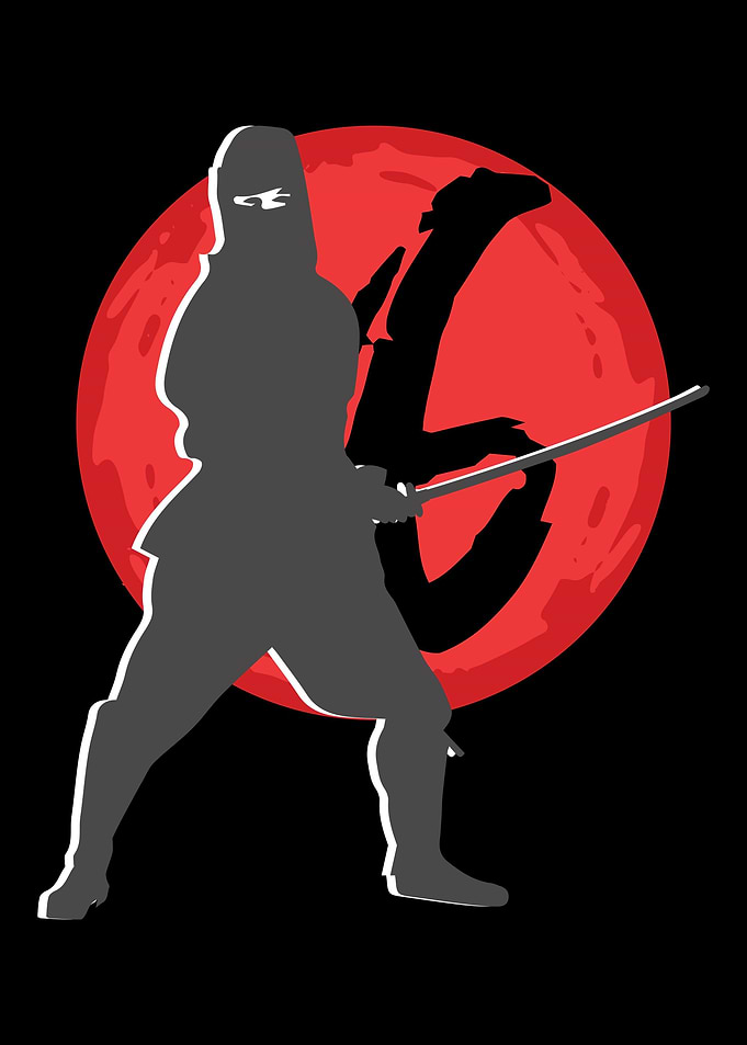 Cool Looking Ninja