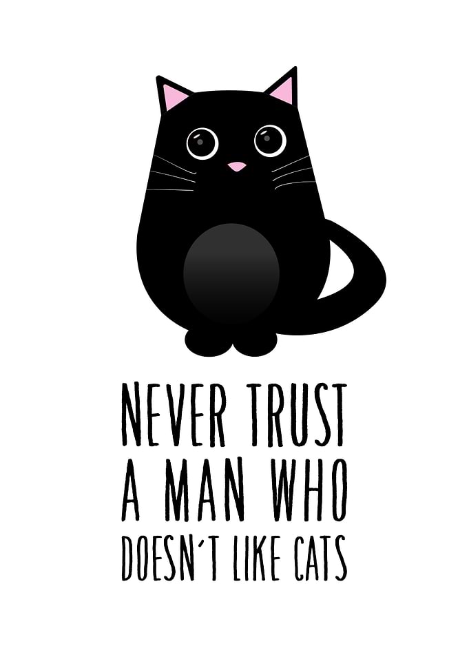 Never Trust A Men