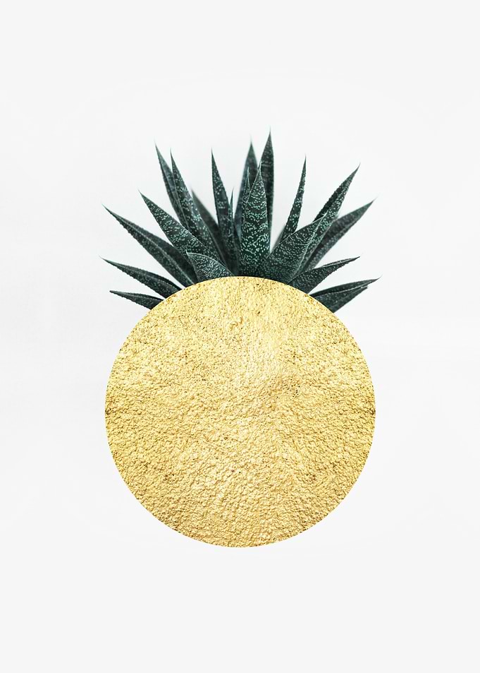 Botanical composition XIX
