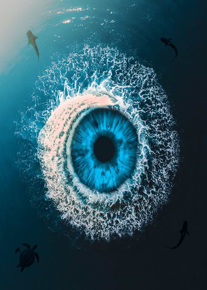 NATURE EYE