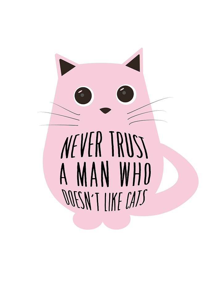 Never Trust A Men