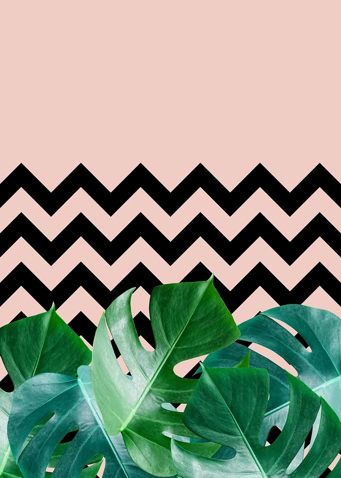 Botanical composition XVI