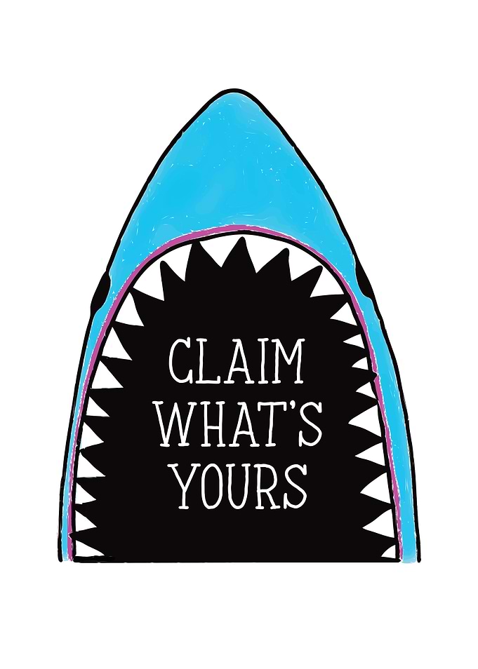 Shark Shark Fin Predator