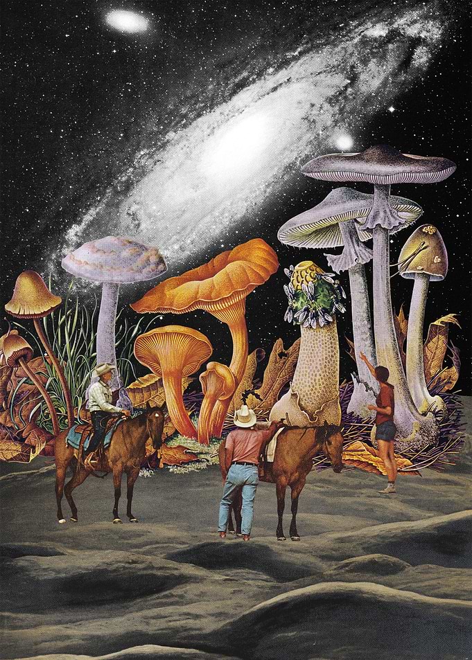Space Cowboys