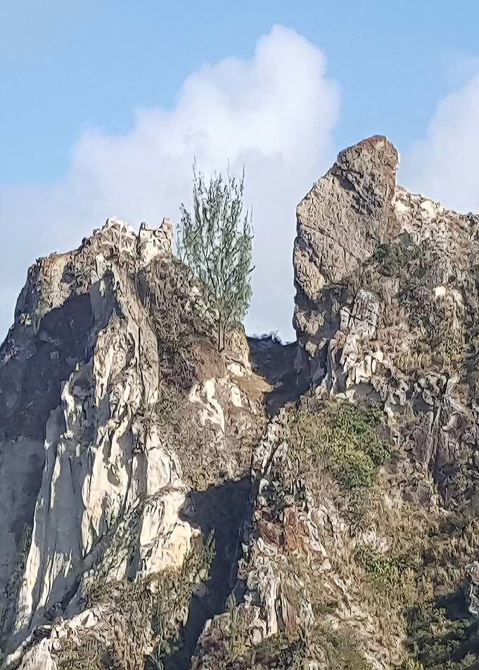 Holy Mountain