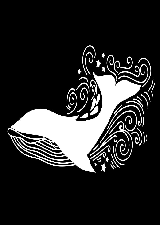 Whale Whale Whale Baby