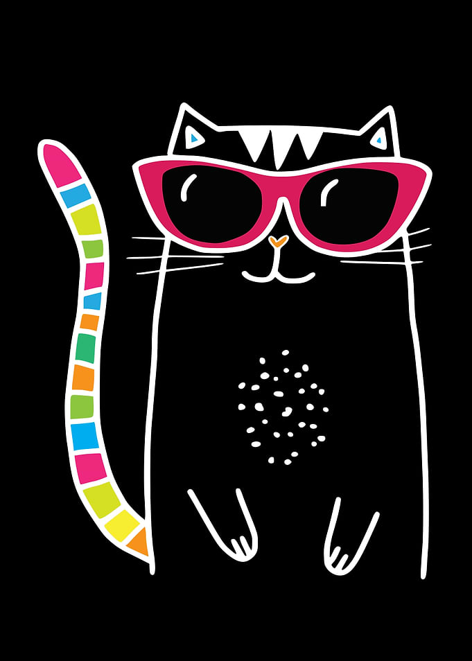 Katze Cool Cat Kitten Cat