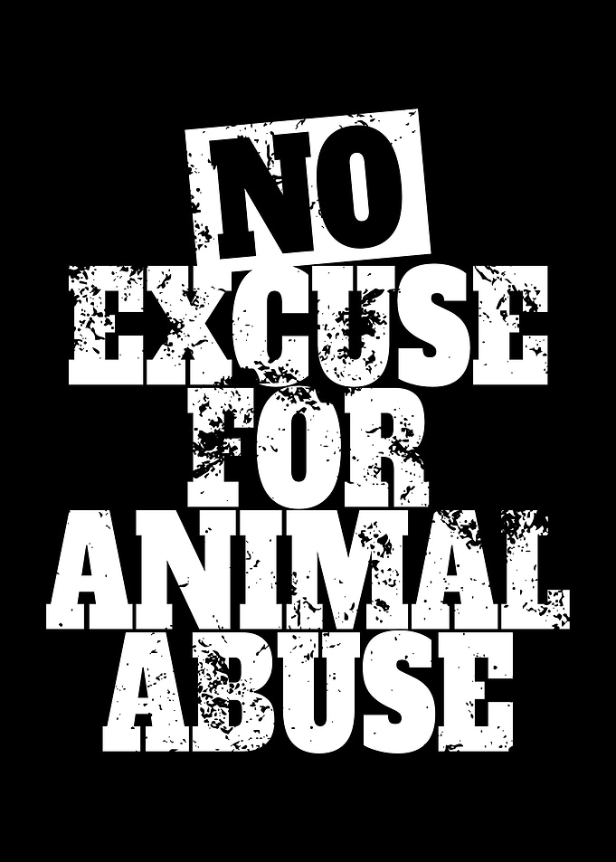 No Excuse For Animal Abuse