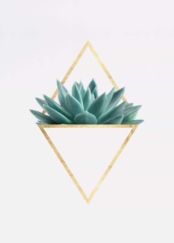 Botanical composition XII