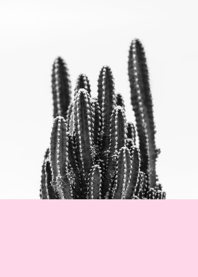 Botanical composition XIII