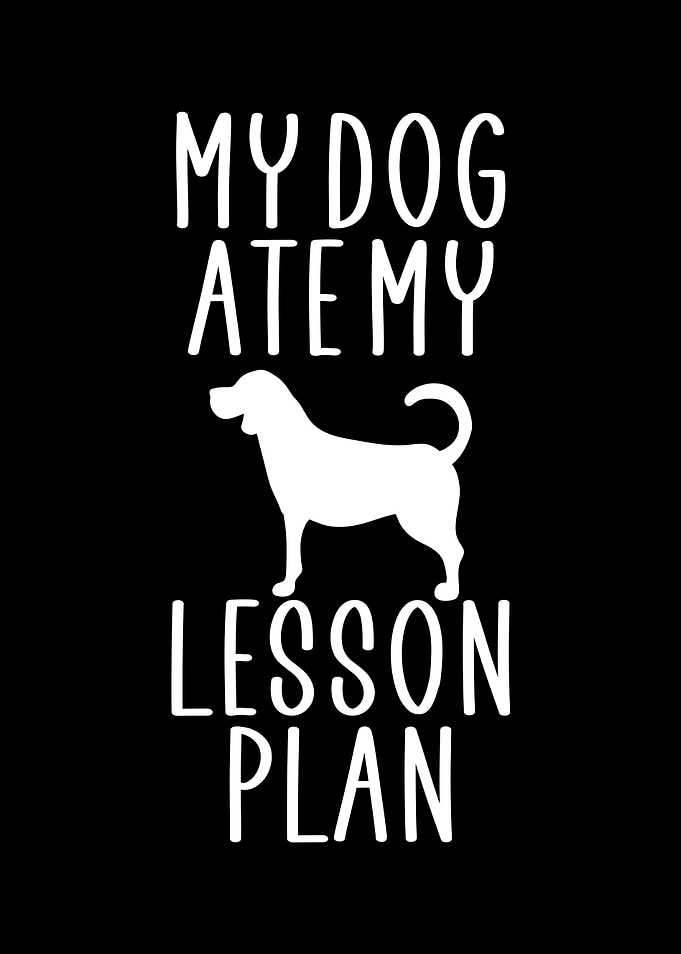 My dog ate my lesson plan
