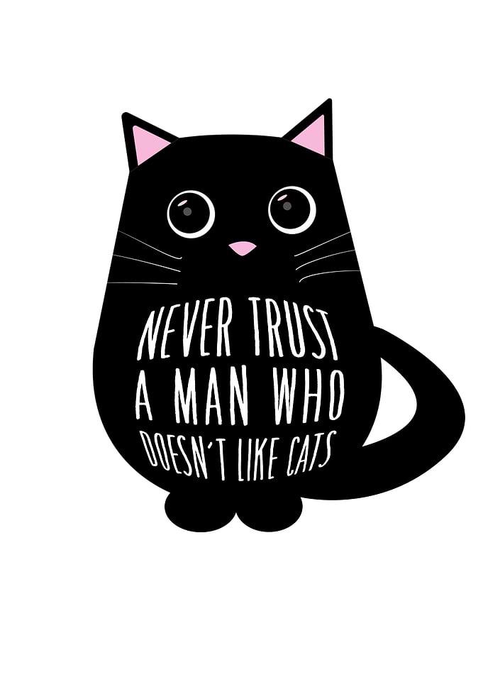 Never Trust A Men