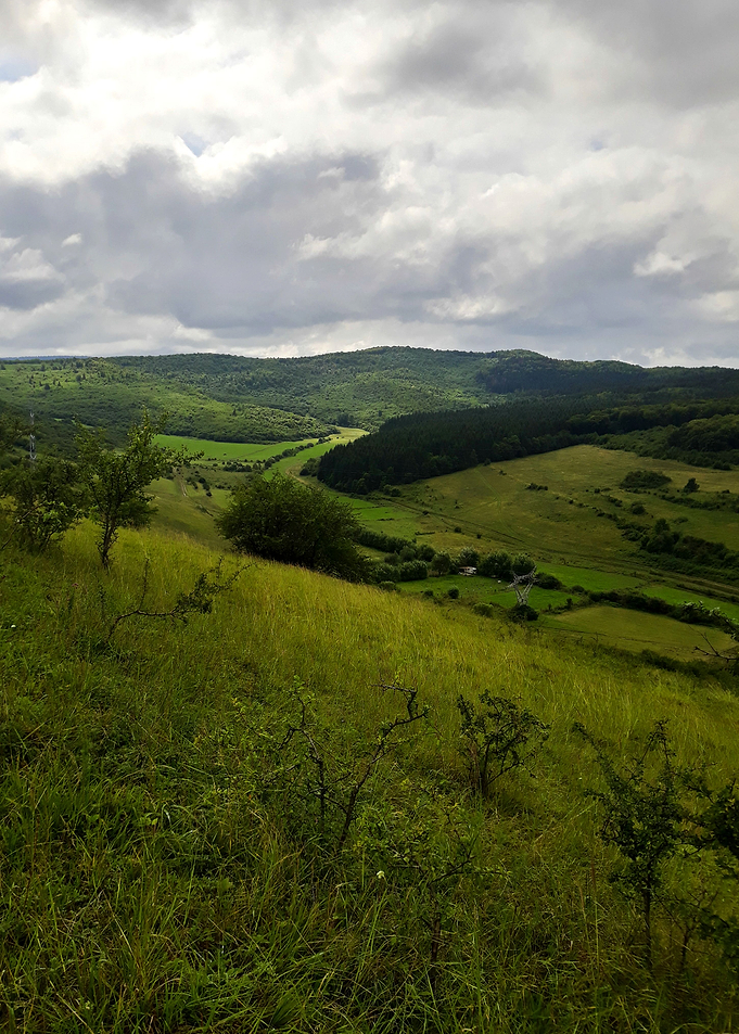 Hill top