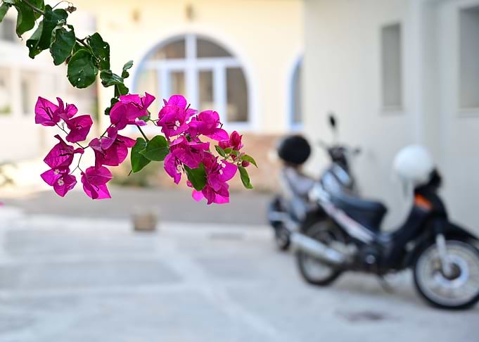 Bougainvillea Naxos Street