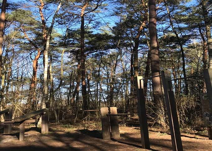 Outdoor Gym In Forest
