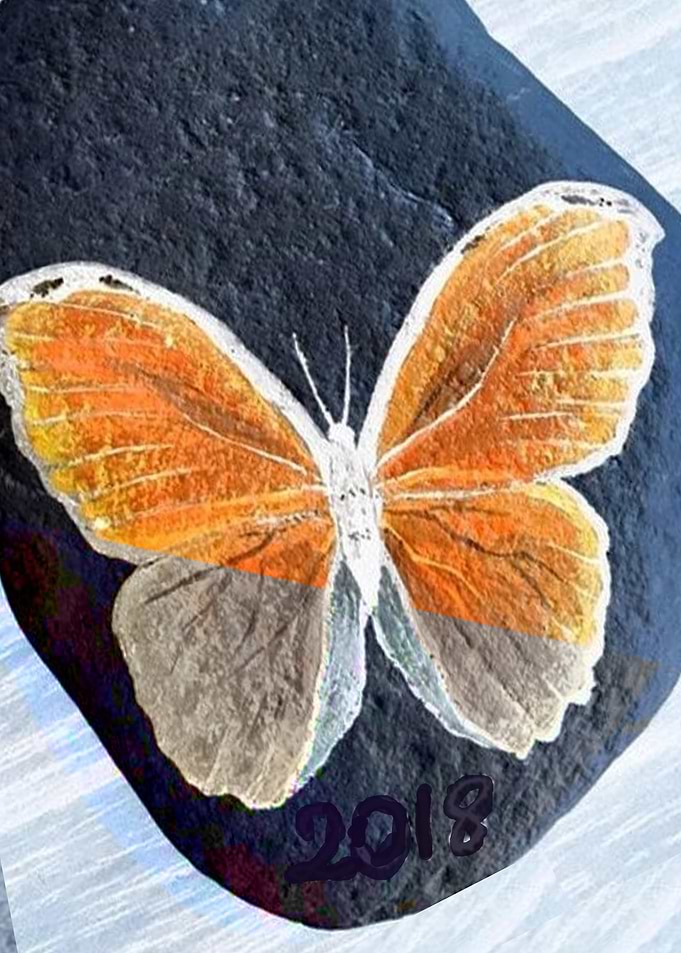 BUTTERFLY