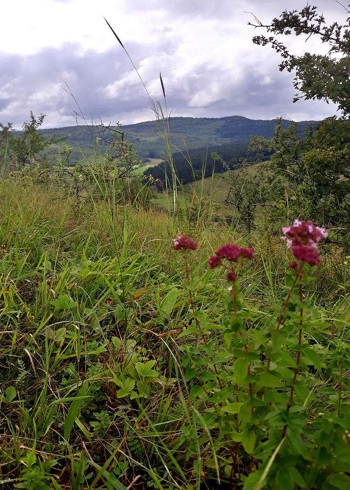 On the top of the hill