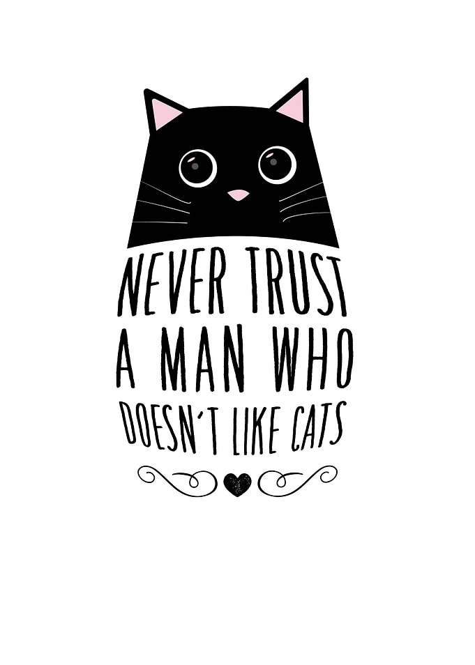 Never Trust A Men