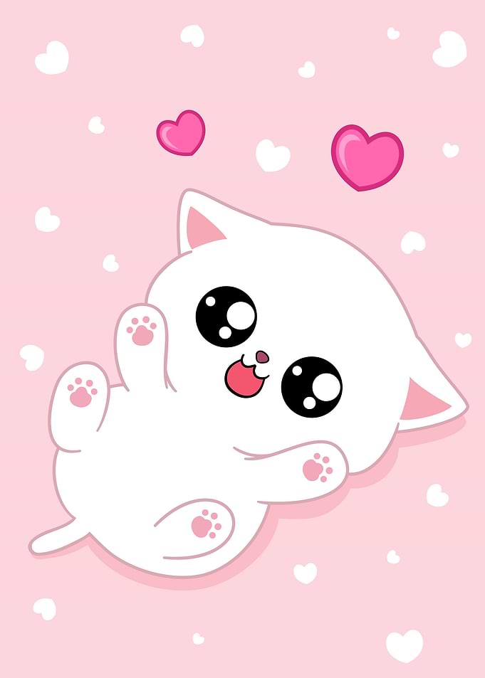 Cute cat in white