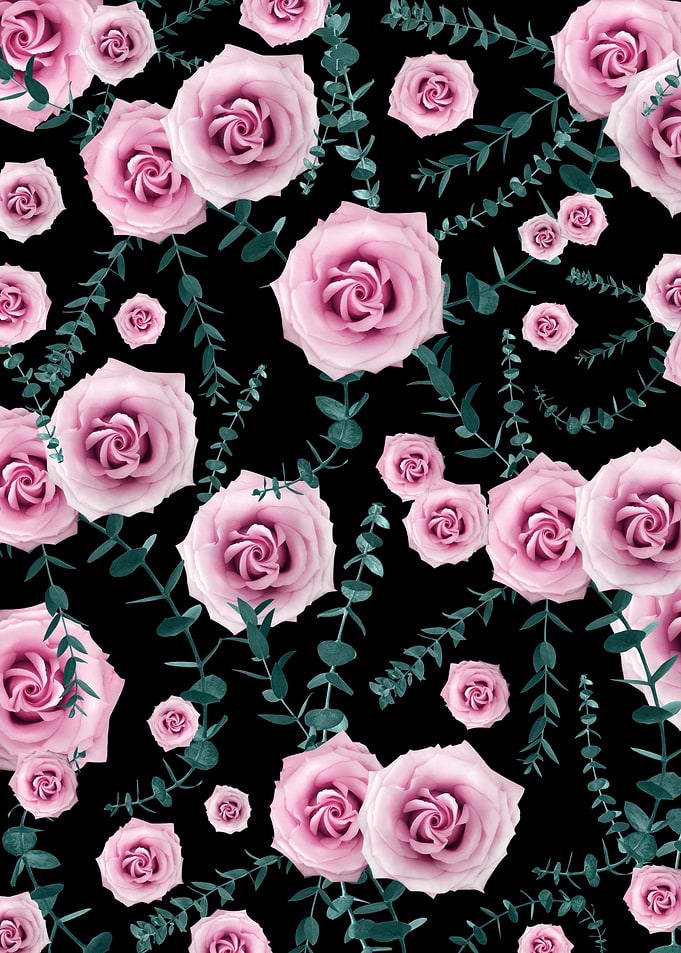 Night Rose Eucalyptus 1