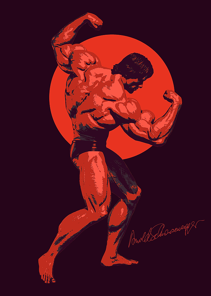 Arnold Schwarzenegger Gym
