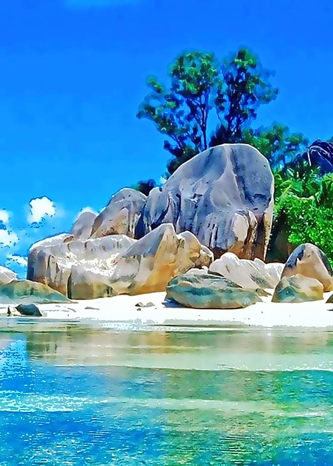 Nature 7