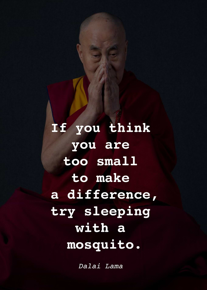 Dalai Lama Quote P1D001
