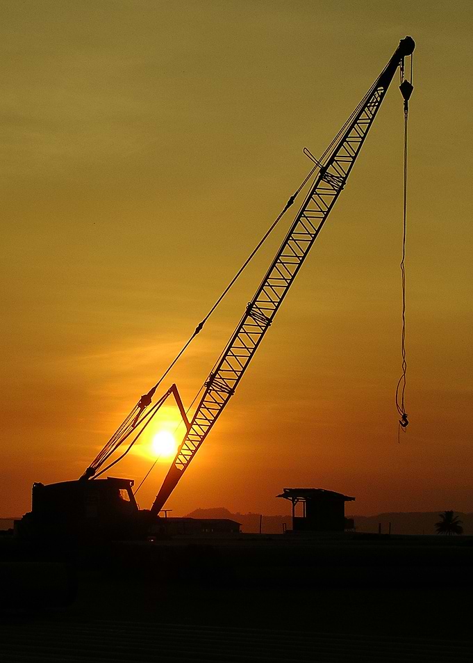 silhouette crane