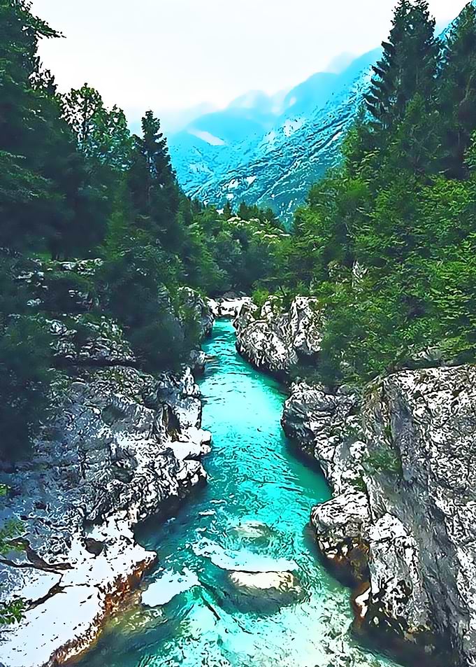 Nature 15