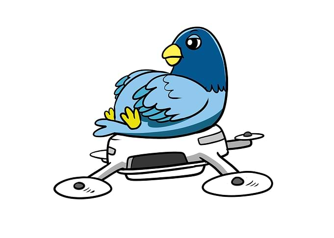 Lazy Bird