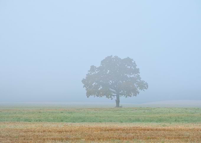 Beautiful Nature Landscape