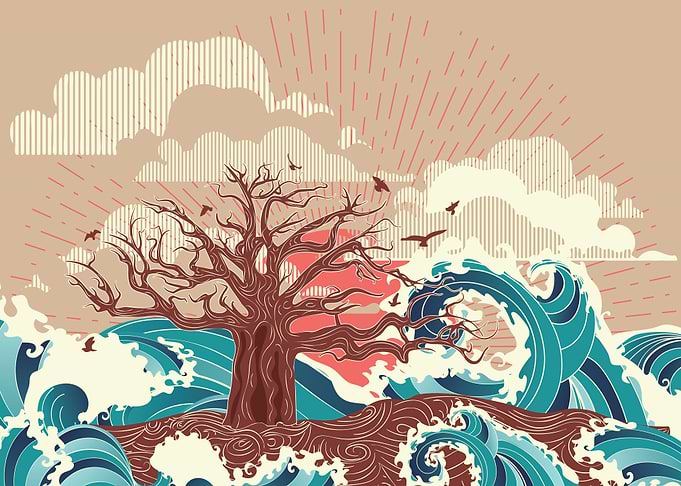 Leafless tree on island