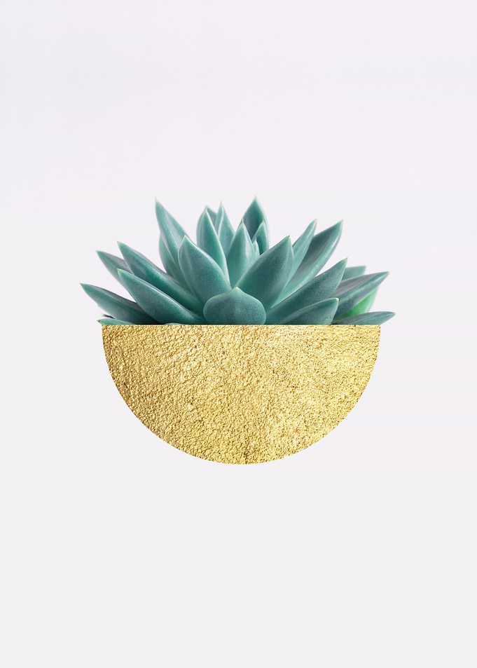 Botanical composition XXII