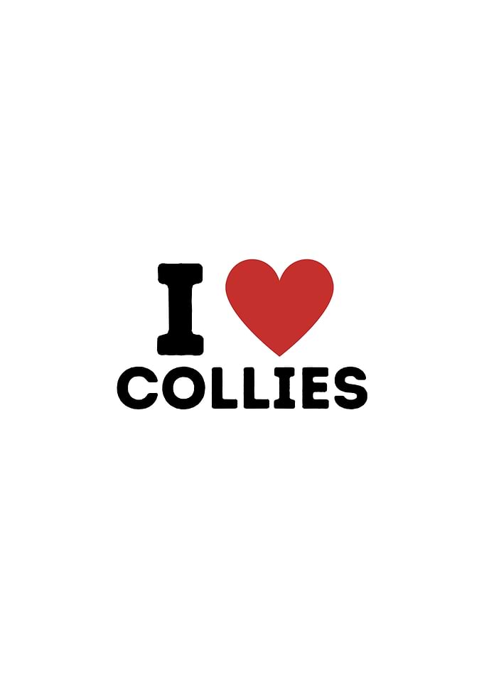 I Love Collies Simple